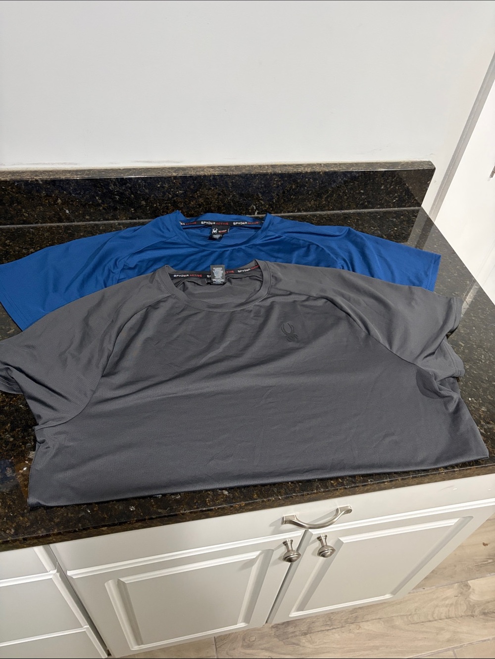 SPYDER ACTIVE Set of Two Men’s Short Sleeve Tech Tees - Blue / Gray
